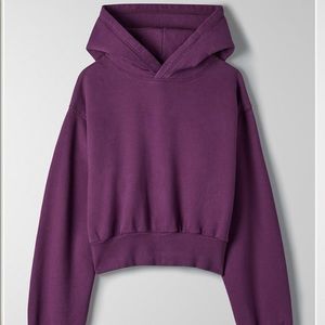 Aritzia cozy fleece perfect shrunken hoodie